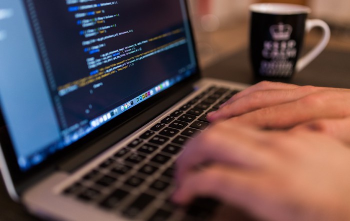 Hollandse nuchterheid binnen de ICT